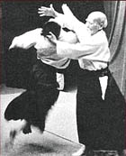 aikido and wu-wei picture